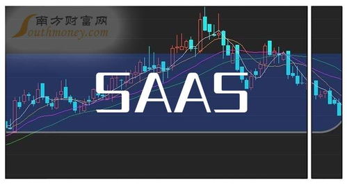创业板SaaS概念股名单 聚焦互联网信息服务的投资指南